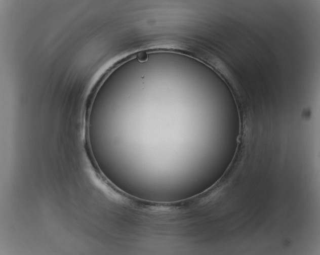 X0000112851132200908281557