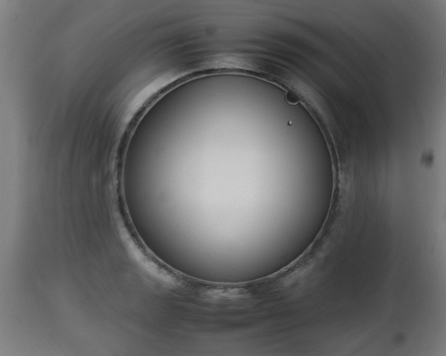 X0000112851133200908281557