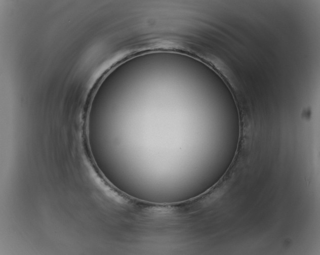 X0000112851134200908281557