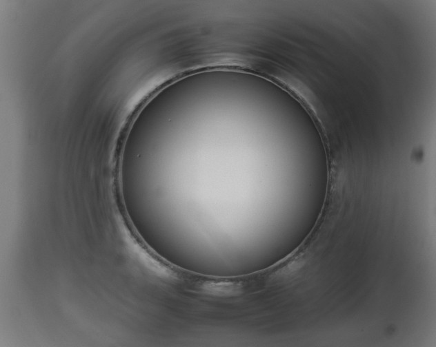 X0000112851135200908281557
