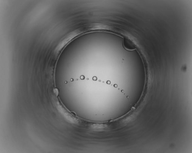 X0000112851137200908281557