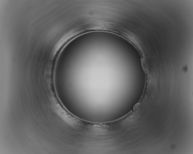 X0000112851138200908281557
