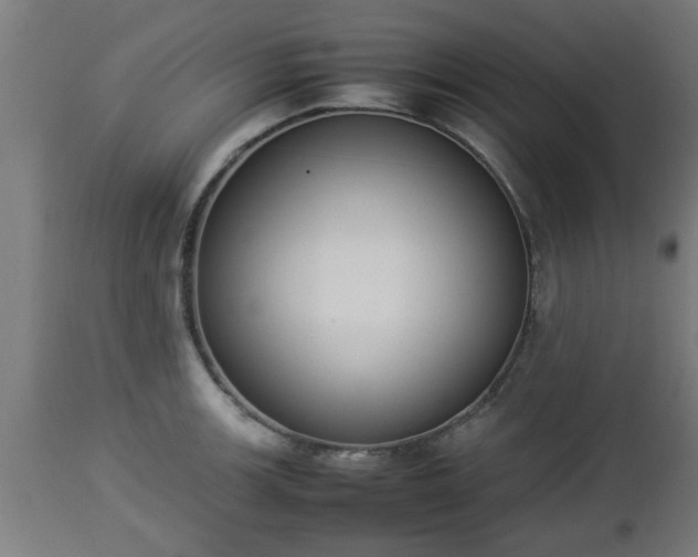 X0000112851139200908281557