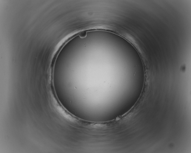 X0000112851140200908281557