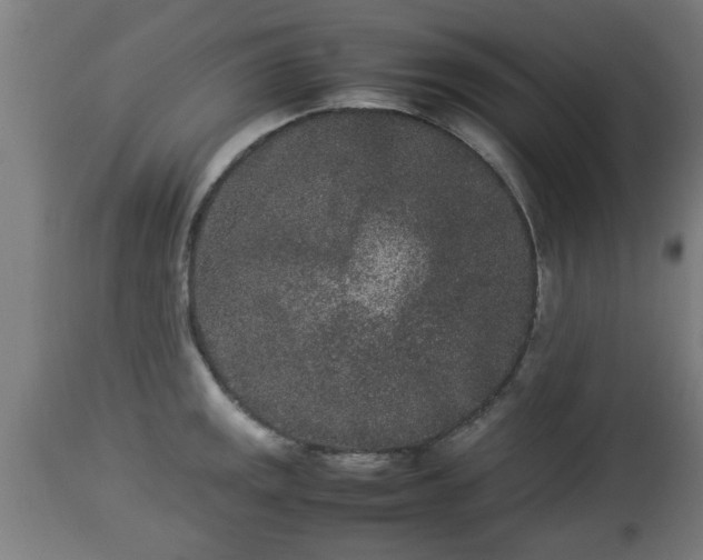 X0000112851141200908281557