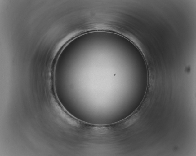 X0000112851142200908281557