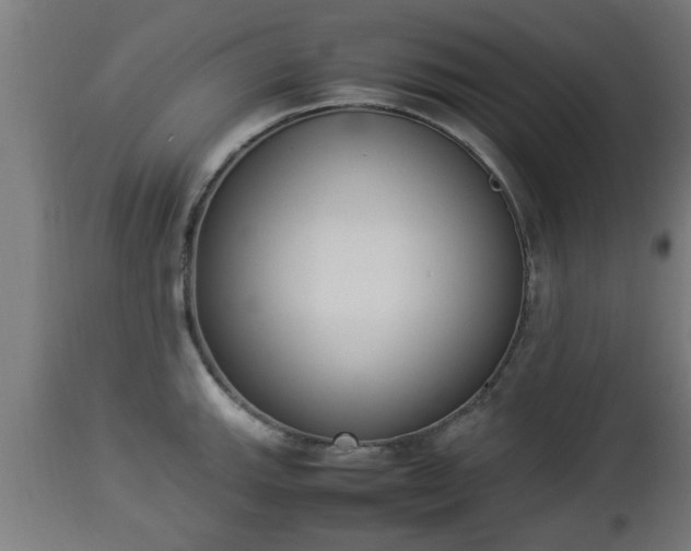 X0000112851143200908281557