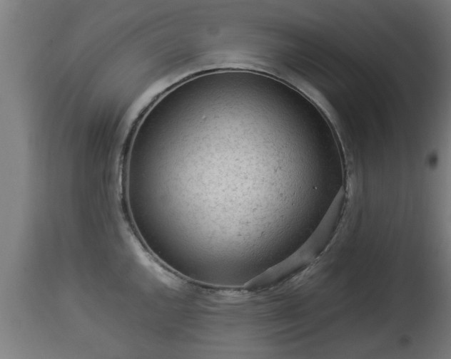 X0000112851144200908281557