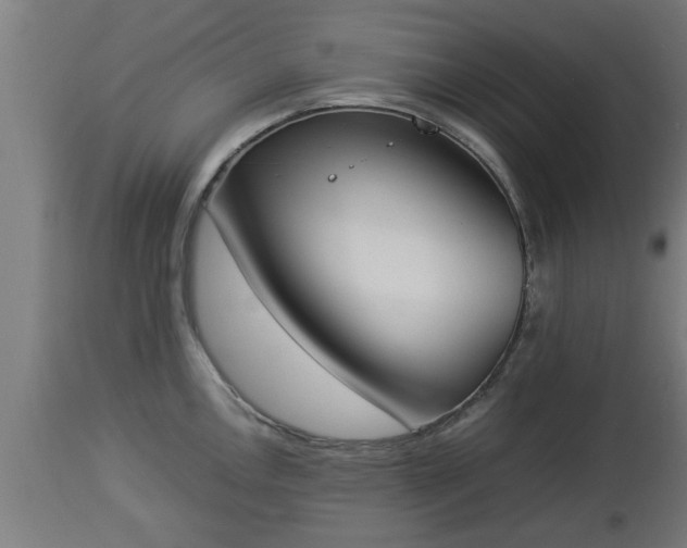 X0000112851146200908281557