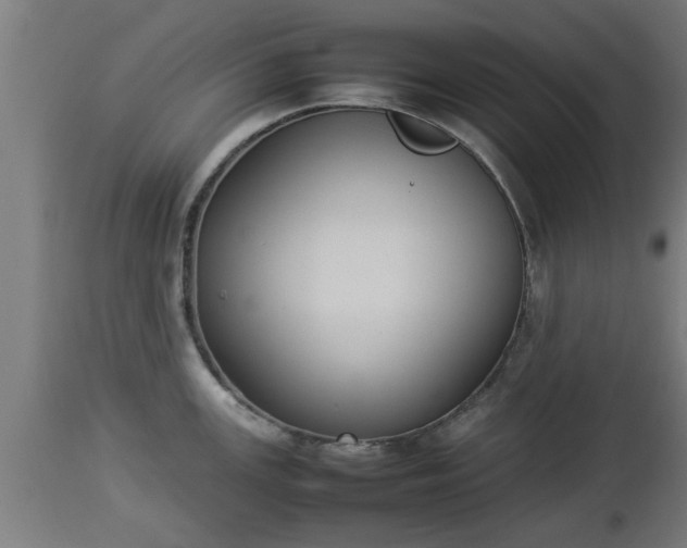 X0000112851147200908281557
