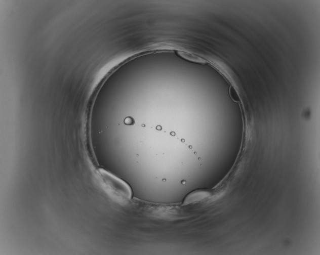 X0000112851149200908281557