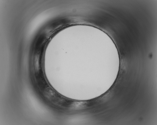 X0000112851150200908281557