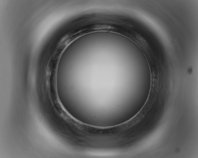 X0000112851151200908281557
