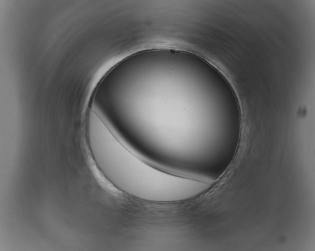 X0000112851152200908281557