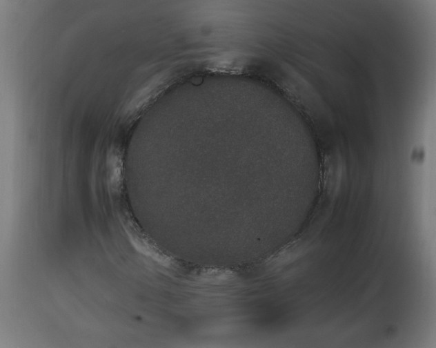 X0000112851154200908281556