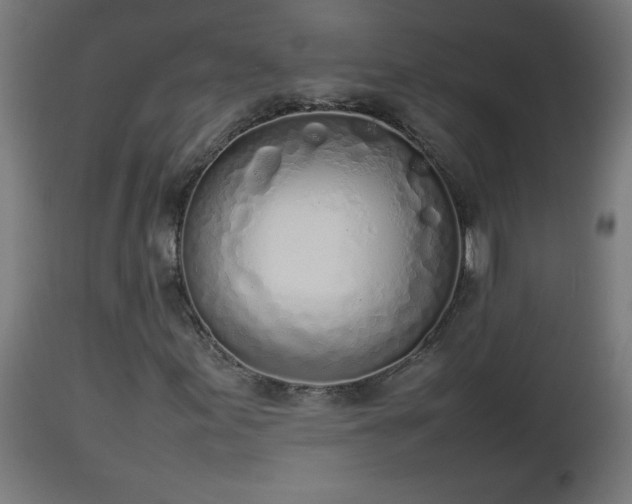 X0000112851155200908281556
