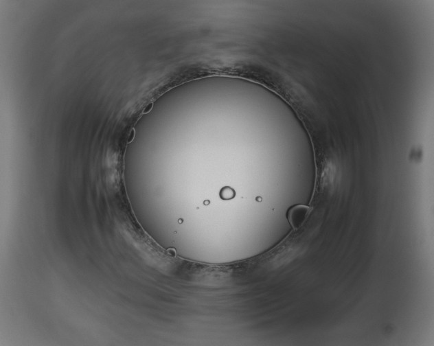 X0000112851156200908281556