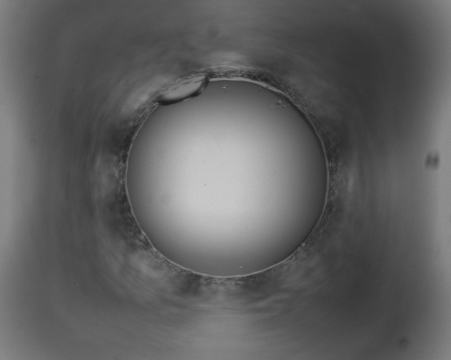X0000112851157200908281556