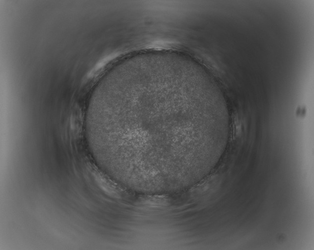 X0000112851158200908281556
