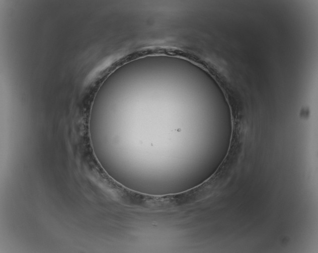 X0000112851159200908281556