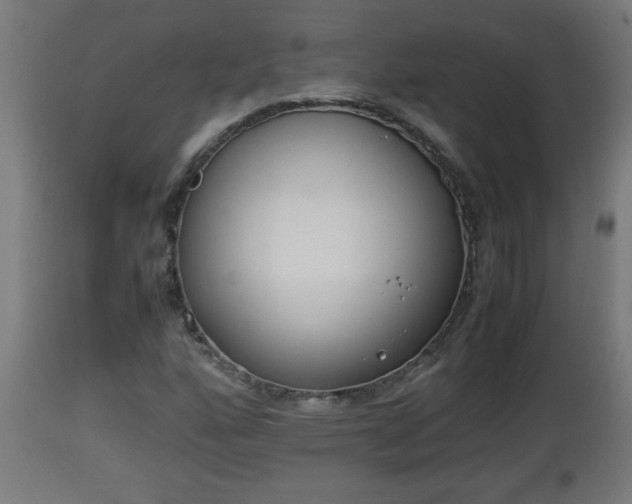 X0000112851160200908281556