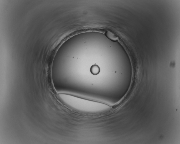 X0000112851161200908281556