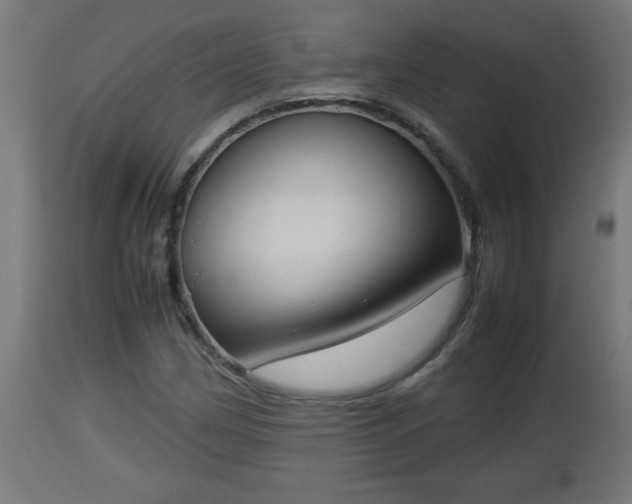 X0000112851162200908281556
