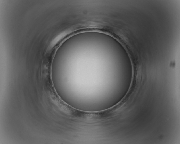 X0000112851163200908281556