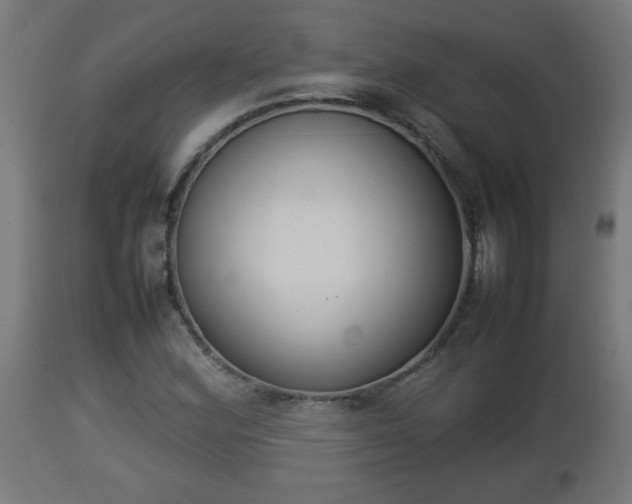 X0000112851164200908281556