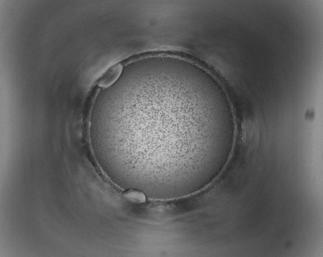 X0000112851165200908281556
