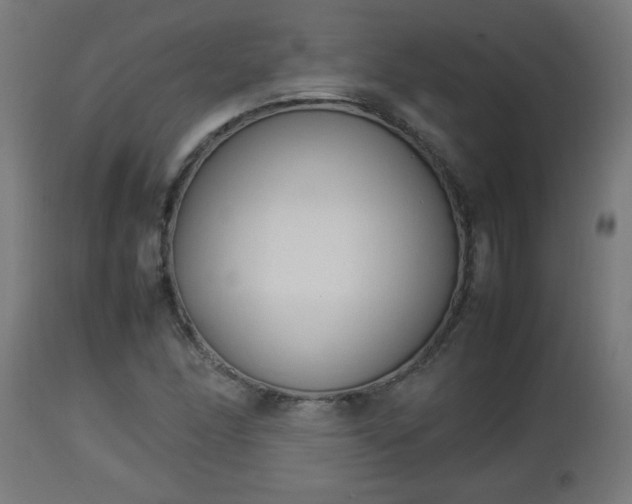 X0000112851166200908281556
