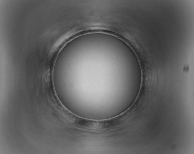 X0000112851167200908281556