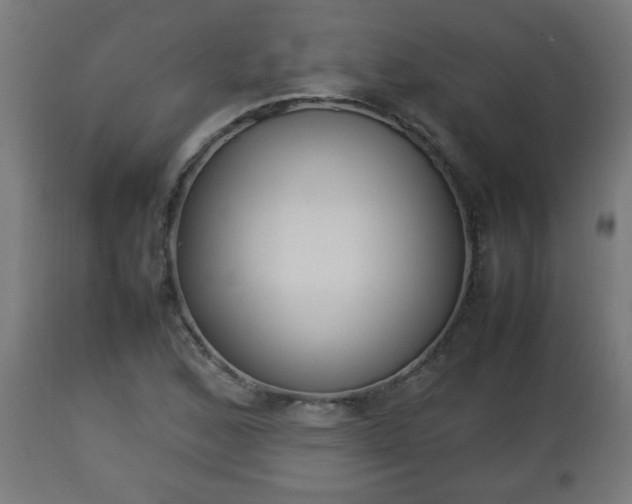 X0000112851168200908281556