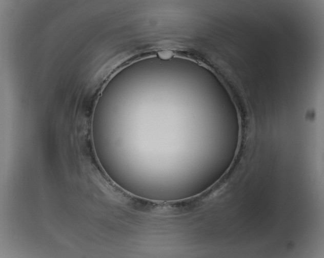X0000112851169200908281556