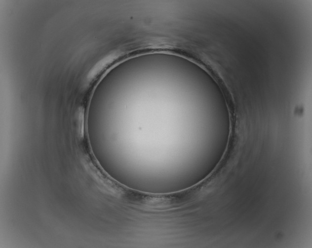 X0000112851171200908281556