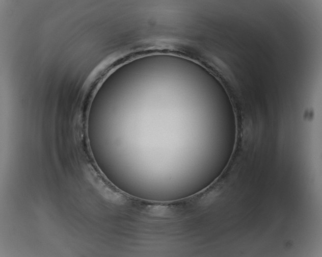 X0000112851172200908281556