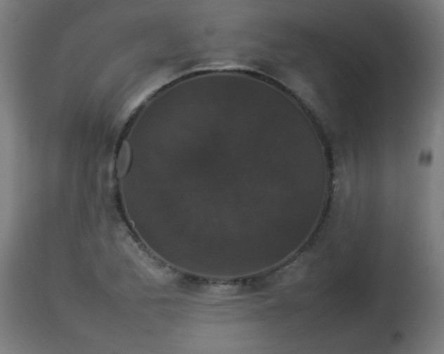 X0000112851173200908281556