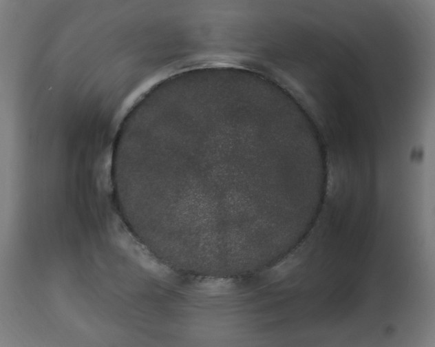 X0000112851174200908281556