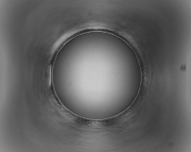 X0000112851175200908281556