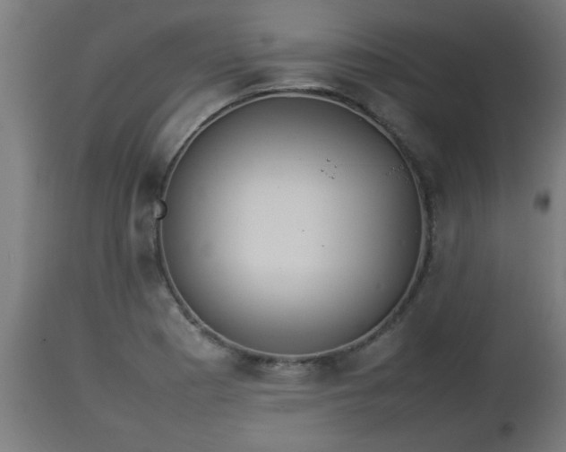 X0000112851177200908281556