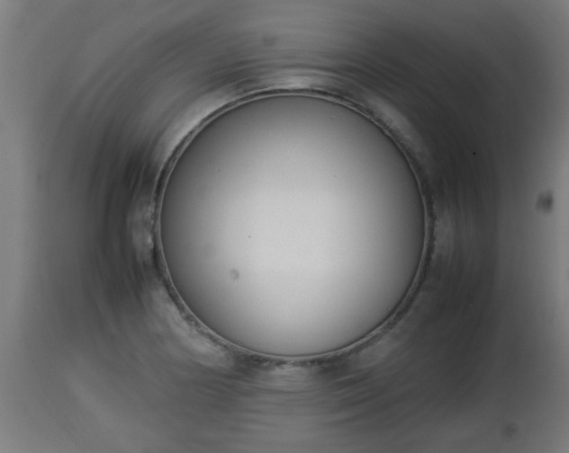 X0000112851178200908281556