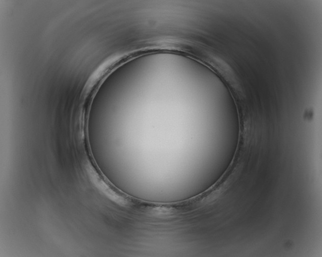 X0000112851180200908281556