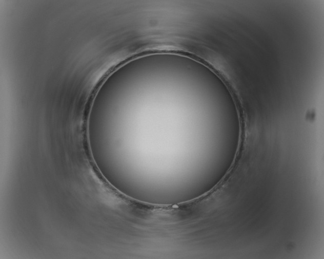 X0000112851181200908281556
