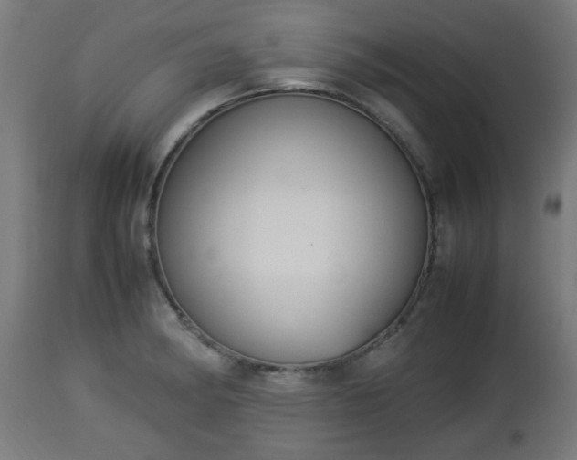 X0000112851182200908281556