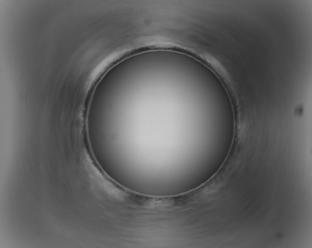 X0000112851183200908281556