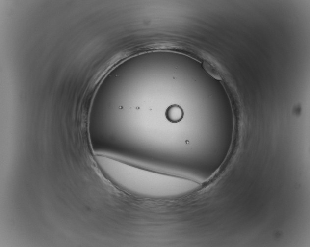 X0000112851185200908281556