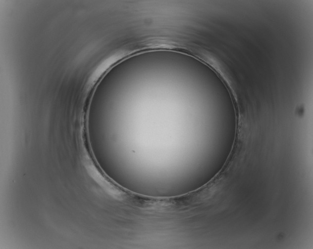 X0000112851187200908281556