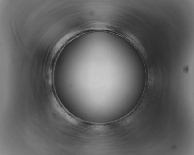 X0000112851188200908281556
