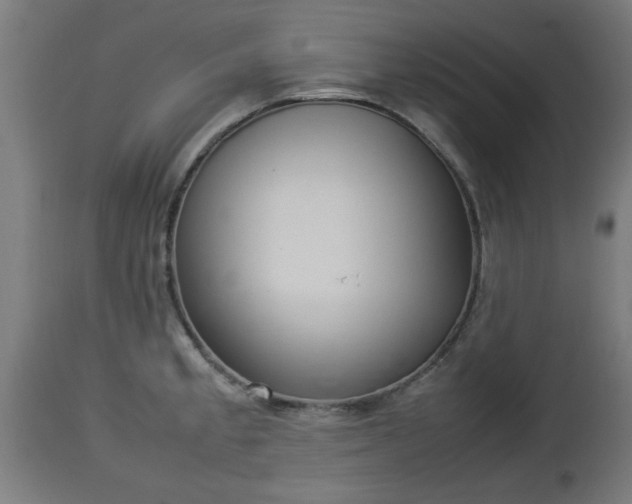 X0000112851189200908281555