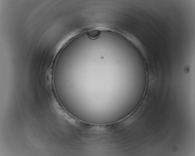 X0000112851190200908281555